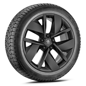Škoda Epiq Winterkomplettrad 18 Zoll W348
